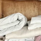 処分